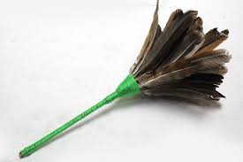 feather duster